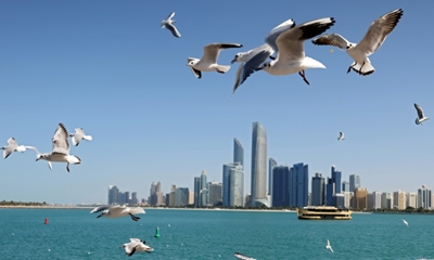 UAE largest bank makes record profit in 2021