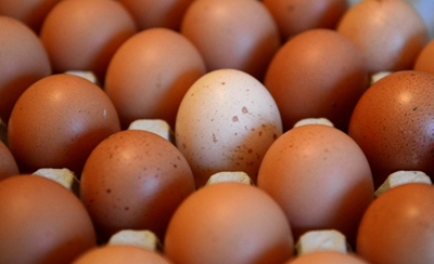 An egg a day may keep the doctor away, study claims