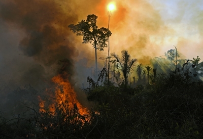 August Amazon fires remain near highs under Bolsonaro