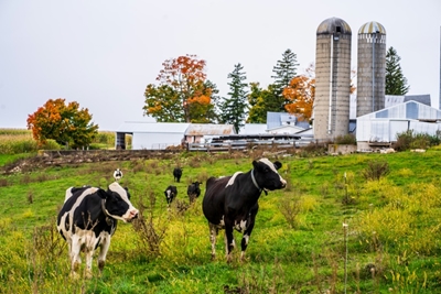 At heart of cultural divide, rural Wisconsin could tip US election