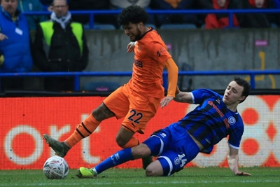 Newcastle held by minnows Rochdale as old stager Wilbraham lights up FA Cup