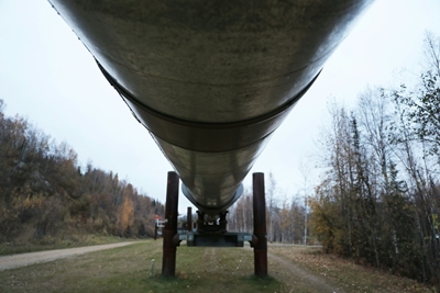 Oil-hungry Asian nations pounce on low prices to build stockpiles