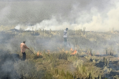 Scores of Indian farmers arrested over polluting fires