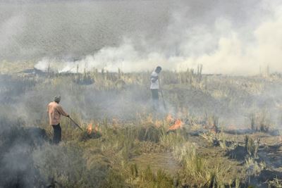 Scores of Indian farmers arrested over polluting fires