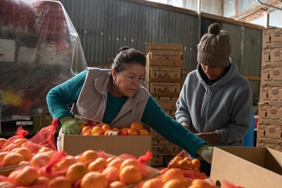 Essential but exposed: US farm laborers lack virus protection