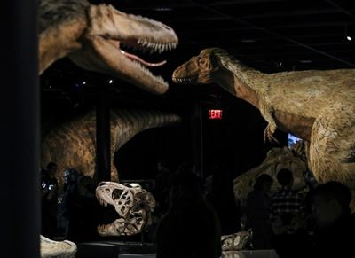 Dinosaurs got cancer too, say scientists 