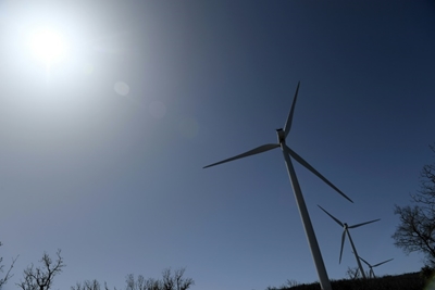 Renewable energy powers ahead in 2020: report