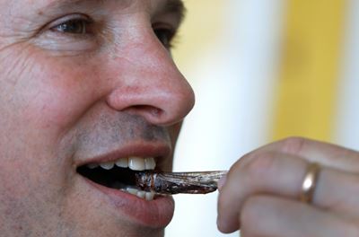Plague to protein: Israeli firm seeks to put locusts on the menu