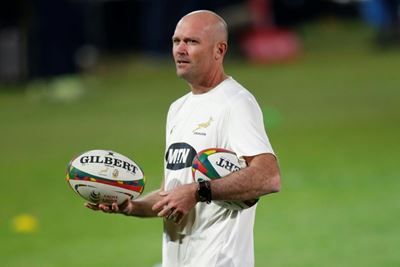 Springboks release 10 players before Lions Tests