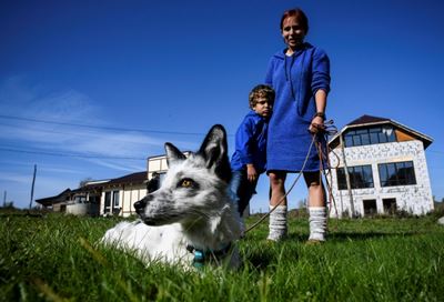Siberian scientists breeding foxes for pets eye human link