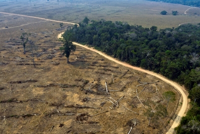 Brazil deforestation 94% illegal: report