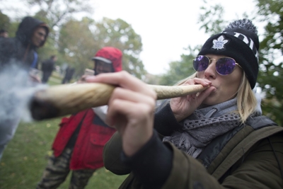 High potency pot 'strongly linked' to psychosis