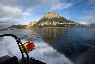 SA divers risk all to poach marine delicacies for China diners