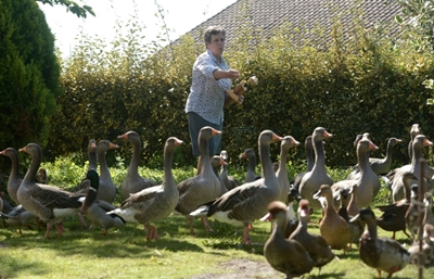 French ducks allowed to keep quacking... for now