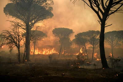 French firefighters battle Riviera inferno for third day 