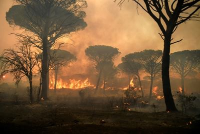 French firefighters battle Riviera inferno for third day 