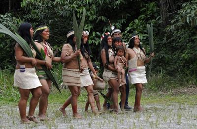 First coronavirus case detected in Ecuador Amazon tribe