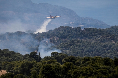 'Ecological disaster' feared as Greece battles forest fire