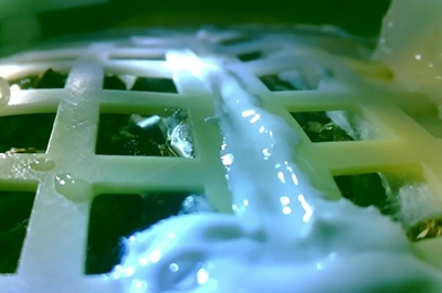 China's moon cotton experiment ends in freezing lunar night