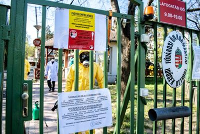 Virus-hit Hungary care home on frontline in Orban powerplay