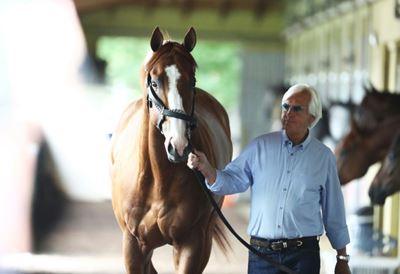 Racehorse trainer Baffert denies doping Triple Crown king Justify