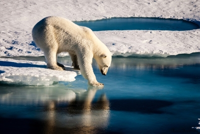 Greenhouse gases surge to new highs worldwide in 2017: US report
