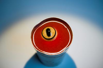 Maggots, licorice and cobra hearts at Sweden's 'Disgusting Food Museum'