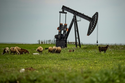 Crude market crisis keeps traders on edge as equities sink again