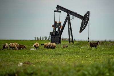 Crude market crisis keeps traders on edge as equities sink again