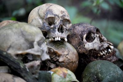 Bali's open-air burials endure despite COVID-19 crisis