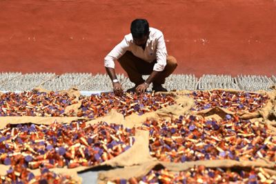 India's firecracker hub hit by anti-pollution drive