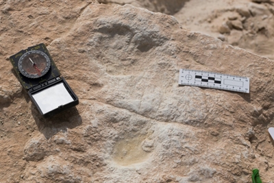 Human footprints dating back 120,000 years found in Saudi Arabia