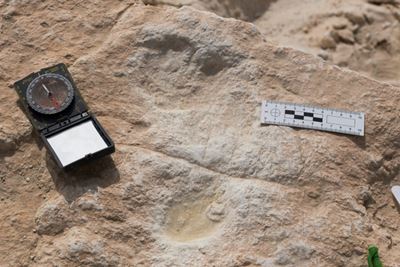 Human footprints dating back 120,000 years found in Saudi Arabia