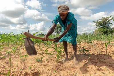 Hunger stalks southern Africa as climate crisis deepens 
