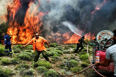 Greek wildfires kill 74
