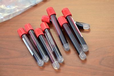 USADA tries 'virtual' testing amid COVID-19 pandemic
