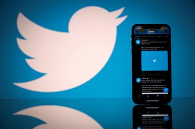 New bug discovery proves mite of Twitter