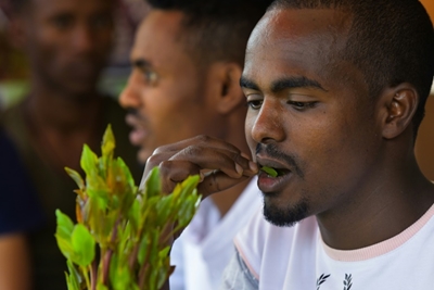 In Ethiopia, a rehab centre takes on khat addiction