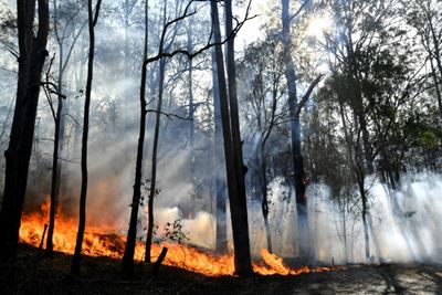 Death toll in Australia bushfires rises to four