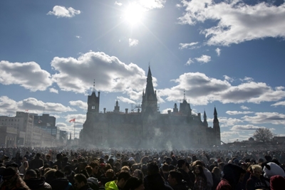 Bear spreads chaos in heart of Canadian capital
