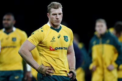 Brumbies won't rush Pocock back after latest concussion