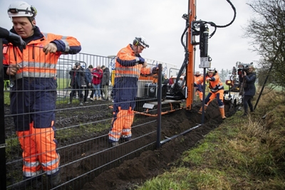 Denmark raises fence on German border to prevent swine fever