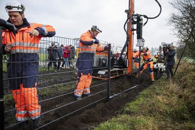 Denmark raises fence on German border to prevent swine fever