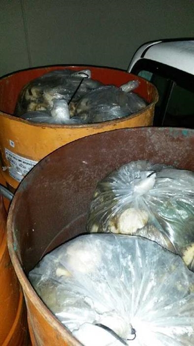2 arrested for abalone worth R1 million