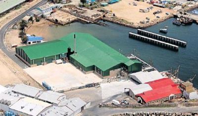 Local fishing industry fighting for survival