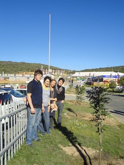 'n Boomdroom vir Mosselbaai