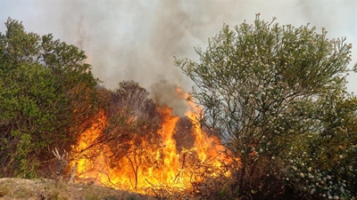 Reserve praised for prescribed burning