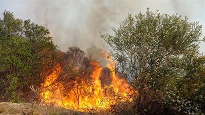 Reserve praised for prescribed burning