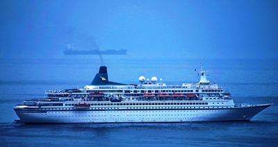 An Albatros came visiting at Mossel Bay