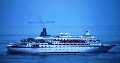 An Albatros came visiting at Mossel Bay